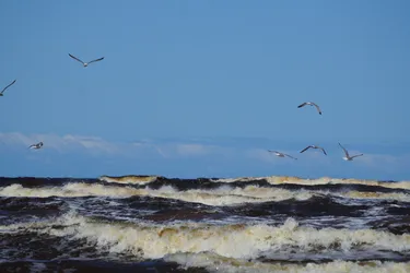 SONY ZV-E10 – Sony FE 70-300mm F4.5-5.6 G OSS