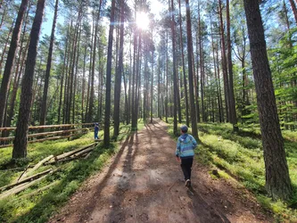 Zwierzyniec, Poland – samsung SM-G970F