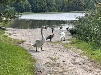 Zwierzyniec, Poland – Apple iPhone 12