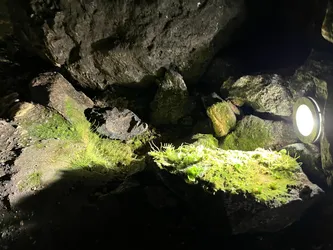 Photo from trip Ojców National Park
