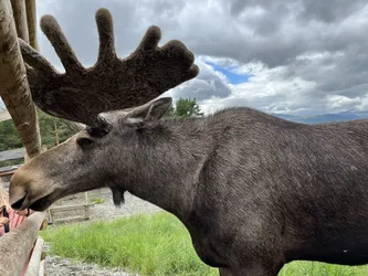 Dale, Norway – Apple iPhone 13