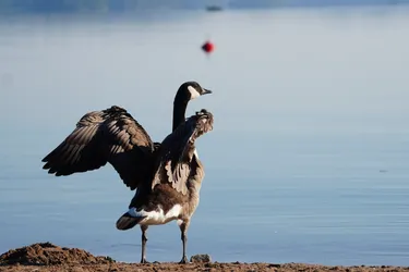 Hollola, Finland – SONY ZV-E10 – Sony FE 70-300mm F4.5-5.6 G OSS