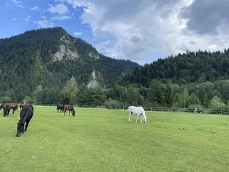 Photo from trip Energylandia and Pieniny