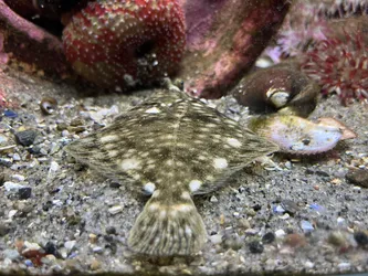 Kabelvåg, Norway – Apple iPhone 13