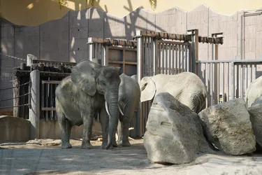 Vienna, Austria – SONY ZV-E10 – Sony FE 70-300mm F4.5-5.6 G OSS