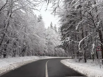 Tusa, Romania – Apple iPhone 17