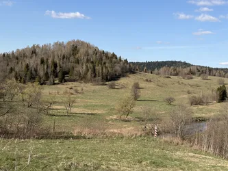 Nyzhnii Turiv, Ukraine – Apple iPhone 17